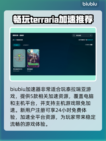 泰拉瑞亚联机卡顿？❌用这个加速器畅玩✨截图2
