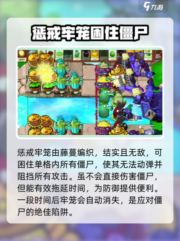 植物大战僵尸：惩戒牢笼🔥超强攻略来啦！截图2