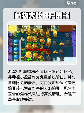 植物大战僵尸杂交版第六关通关秘籍🔥游戏技巧大公开！截图2