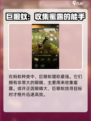 小小蚁国什么蚂蚁厉害介绍截图4