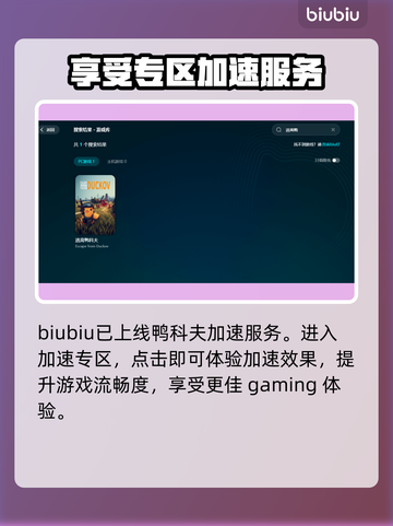 逃离鸭科夫🔥黑屏闪退卡顿？延迟丢包解决工具来了！截图5