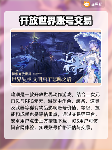 鸣潮账号价值评估渠道分享🔥游戏党必看！✨截图2
