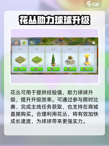 守护球球道具介绍介绍截图3