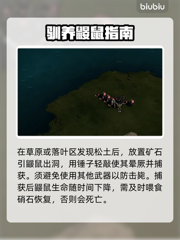 🔥《饥荒》鼹鼠工厂暴富秘籍🐭💸截图2