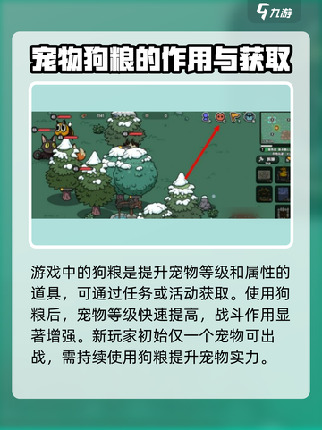 英勇之地🔥狗粮大揭秘！玩家必看⚡截图2