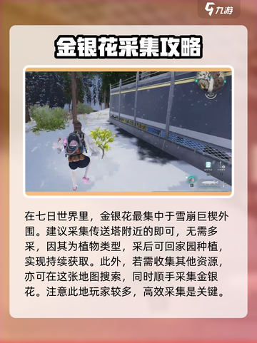 七日世界金银花怎么获得介绍截图2