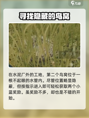 三角洲行动鸟窝位置一览介绍截图3