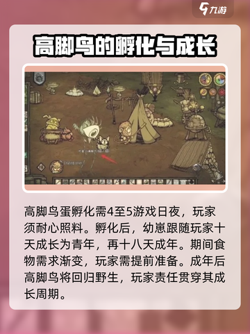 饥荒联机版高脚鸟蛋怎么孵化介绍截图5