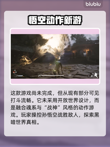 黑神话悟空价格曝光！🎉游戏迷们冲鸭～截图3