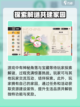 洛克王国世界公测什么时候介绍截图6