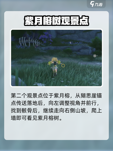 鸣潮无光森林观景点在哪介绍截图3