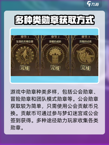地下城与勇士手游🔥团本勋章获取秘籍💡截图2