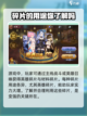 蜂之恋碎片有什么用介绍截图2