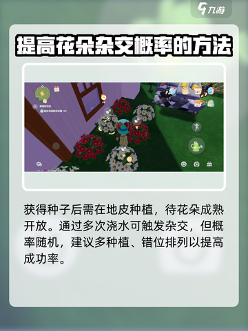 心动小镇🔥粉色雏菊培育秘籍🌸超简单！截图3