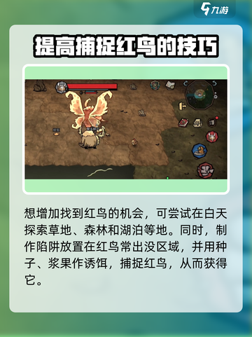 🔥饥荒新家园：红鸟具体位置大曝光！🎉截图3