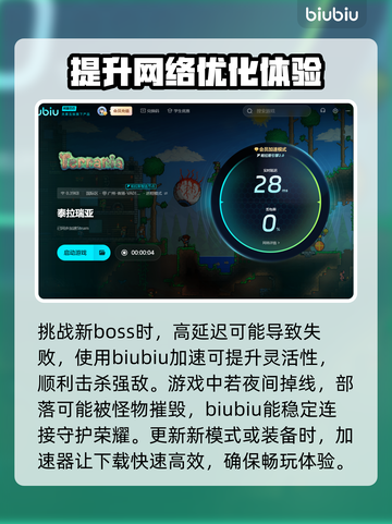 泰拉瑞亚延迟高💥解决办法来了！💡截图4