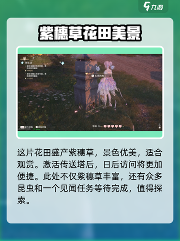 无限暖暖紫穗草花田在哪介绍截图2
