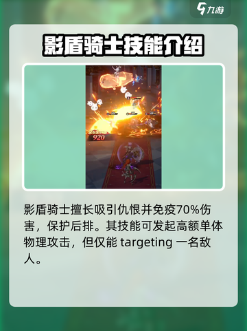 命运圣契🔥影盾骑士超强解析Knight✨截图3