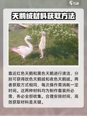 无限暖暖夜色天鹅绒怎么获得介绍截图4