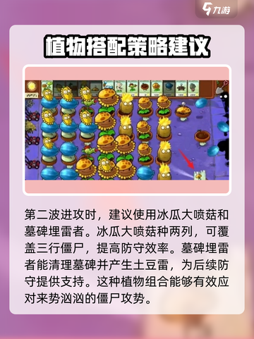 植物大战僵尸杂交版第8关🔥通关秘籍⚡截图4