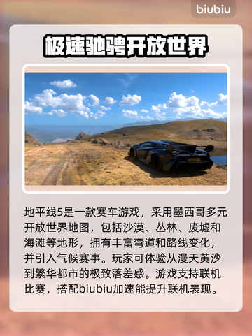 地平线5闪退？用这款加速器🔥瞬间解决！💥截图2