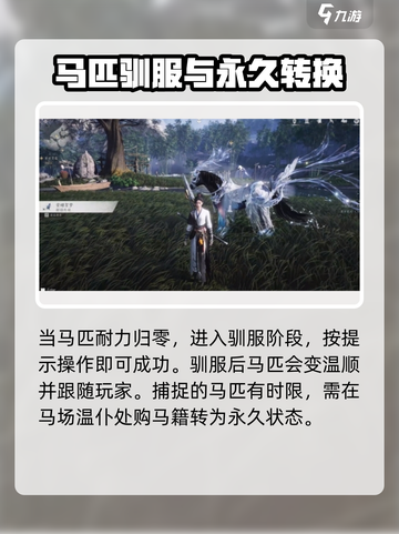 燕云十六声怎么抓马介绍截图6
