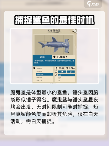 渔帆暗涌手游🔥四条强壮大鱼位置大曝光！截图4