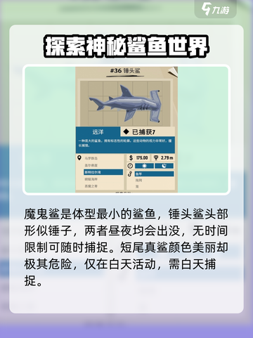 渔帆暗涌手游🔥四条强壮大鱼位置大曝光！截图4