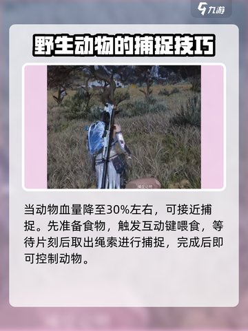 七日世界怎么抓动物介绍截图4