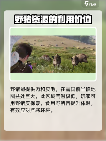 七日世界野猪在哪获取介绍截图5