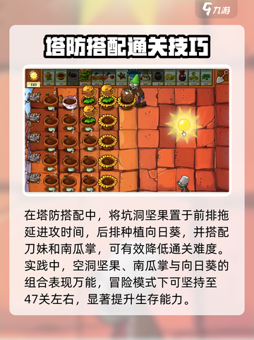植物大战僵尸：弹坑坚果🔥超强防御一 nut必看！截图3