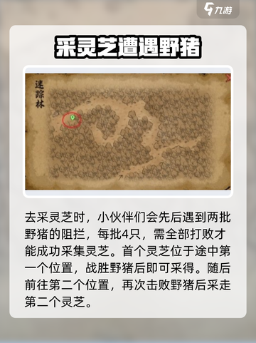大侠立志传灵芝在哪介绍截图3