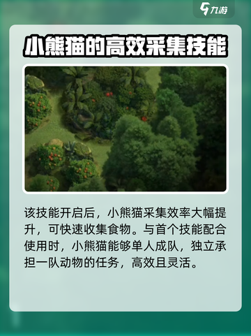 野兽领主新世界：小熊猫🔥超强解析，必看！截图5