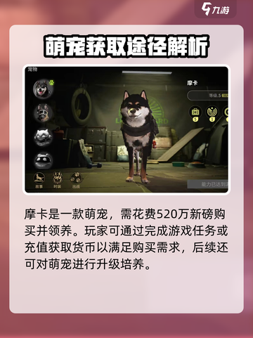萤火突击摩卡怎么获得介绍截图4
