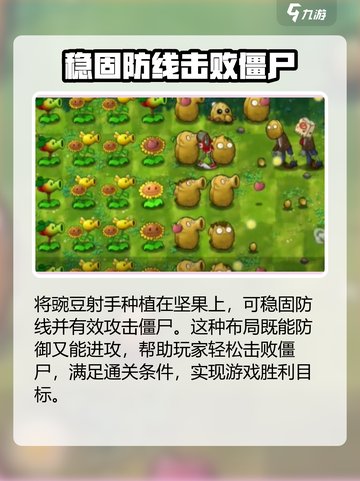 植物大战僵尸第六关🔥通关秘籍，轻松过关！截图5