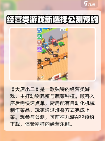 大店小二公测渠道介绍截图2
