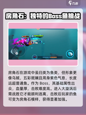 鱼吃鱼游戏房角石🔥揭秘你不知道的玩法！截图3