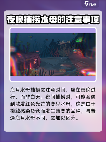 海月水母渔帆暗涌如何抓介绍截图4