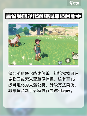 洛克王国💥蒲公英娃娃技能详解，超强战力不容错过！🌱截图4