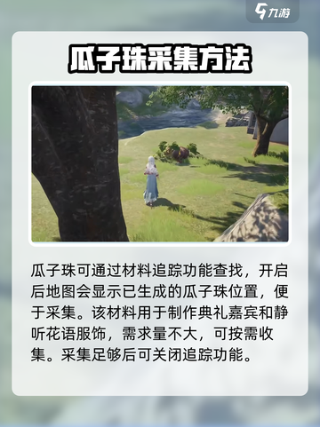无限暖暖瓜子珠收集方法介绍截图4