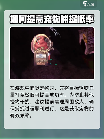 仙境传说RO新启航：宠物捕捉秘籍🔥快速上手！截图2