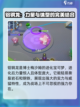 宝可梦大集结🔥铝钢龙超强攻略💎截图3
