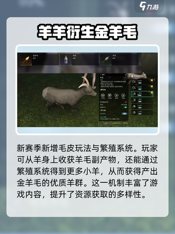 七日世界🔥金羊毛获取秘籍💡玩家必看！截图3