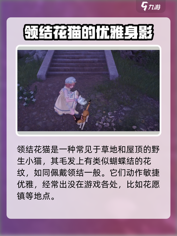 无限暖暖领结花猫在哪介绍截图2