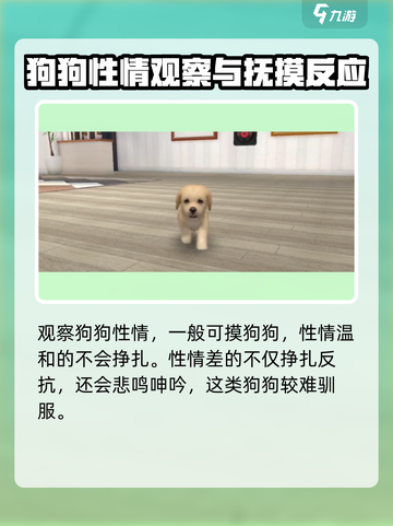 梦幻小狗怎么选狗介绍截图3