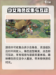 光隙解语内测什么时候介绍截图4