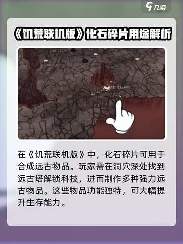 饥荒联机版🔥化石碎片竟是隐藏宝藏！💎截图2