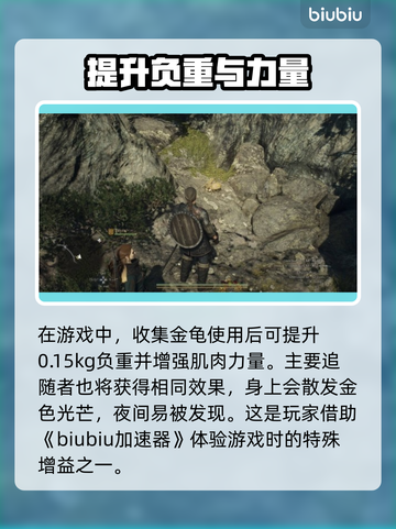龙之信条2🔥金龟收集全攻略💎截图2