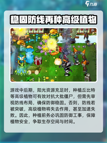 植物大战僵尸丘比特之箭🔥过关秘籍来袭！💘截图4