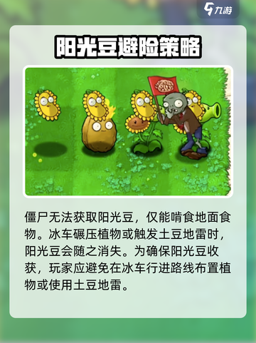 💥植物大战僵尸杂交版阳光豆神操作！🌱截图4